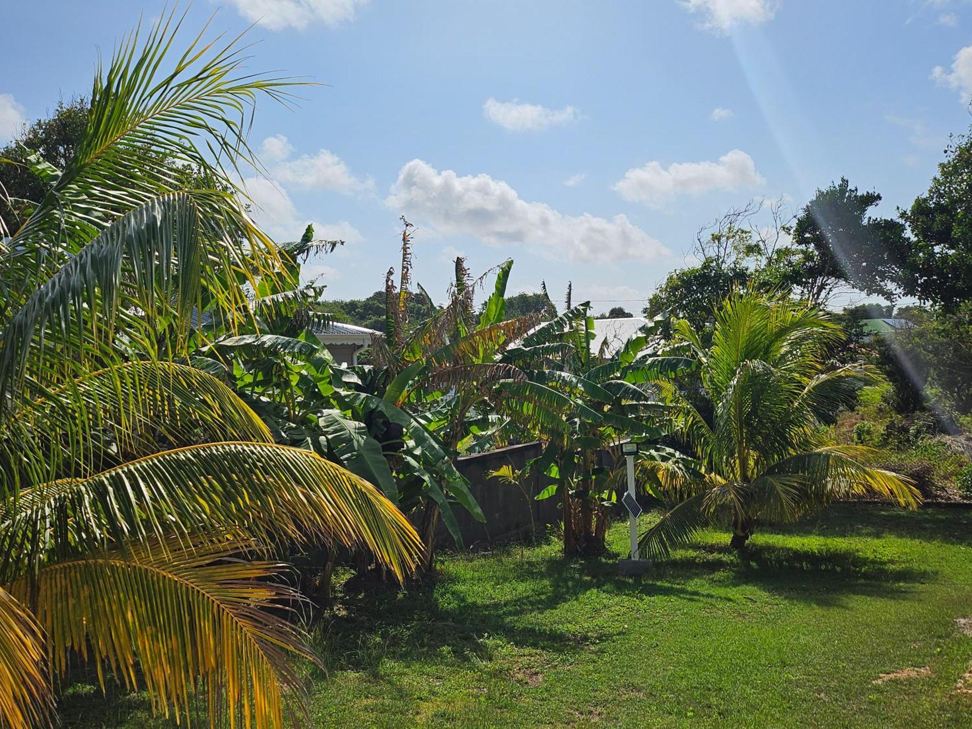 Bungalow Bo Sicrie Le Moule Exterior photo